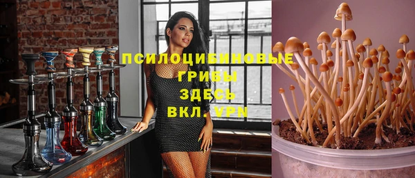 дмт Алексин