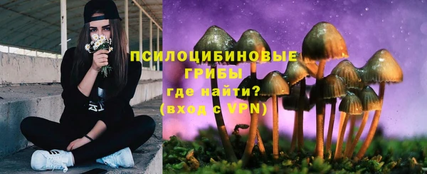 а пвп мука Алексеевка
