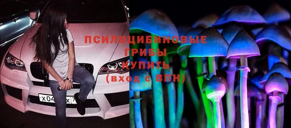 мяу мяу мука Алзамай