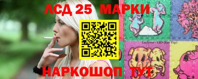 шишки Обнинск