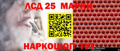 шишки Обнинск