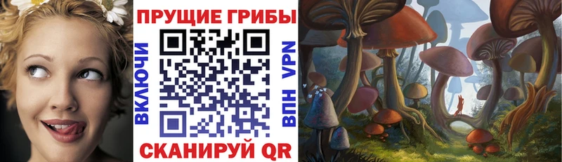 МЕГА маркетплейс  Чистополь  Галлюциногенные грибы Psilocybine cubensis 