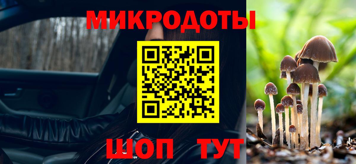 Чистополь  Галлюциногенные грибы мицелий  Вход с VPN 